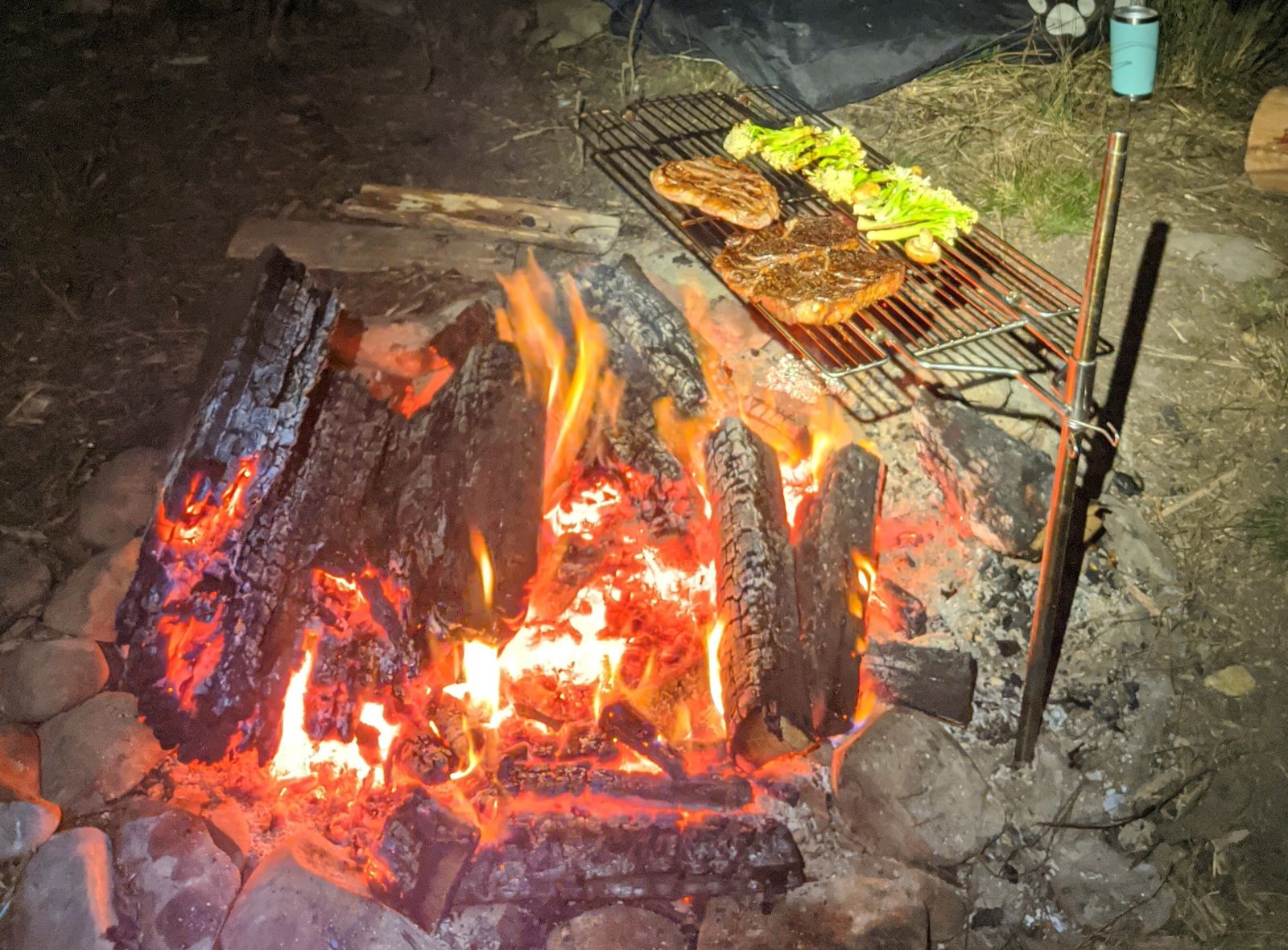 An image of the auspit portable camping swinging grill that has been folded out and is cooking steak an veggies over an open fire
